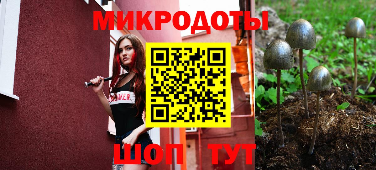 Галлюциногенные грибы Psilocybine cubensis  Вход с VPN  Ростов Великий  наркотики  Псилоцибиновые грибы Psilocybine cubensis 