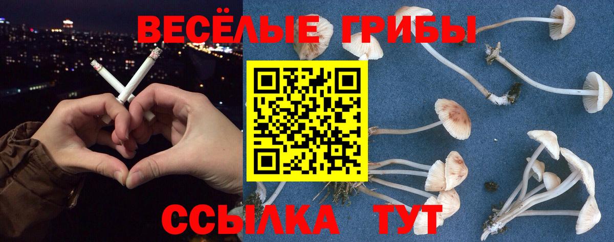 Галлюциногенные грибы Cubensis Ростов Великий